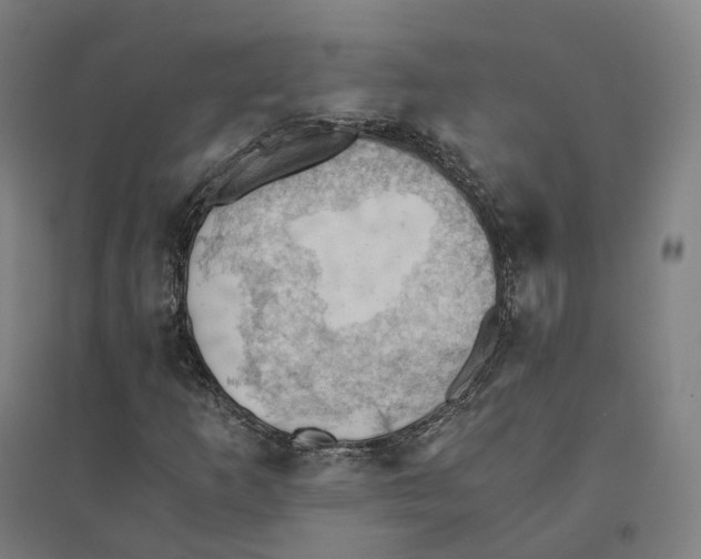 X0000094451253200712061153