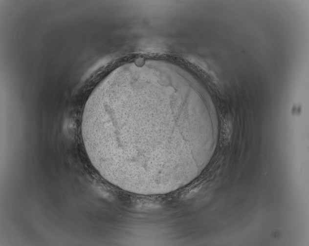 X0000094451254200712061153