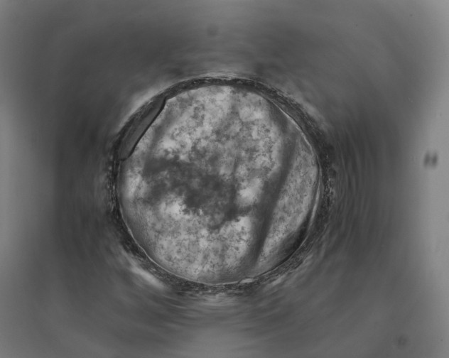 X0000094451256200712061153