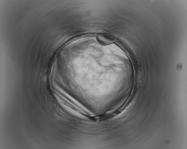 X0000094451257200712061153