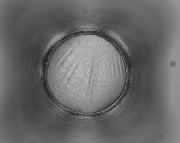 X0000094451261200712061153