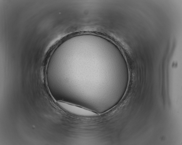 X0000094451262200712061153