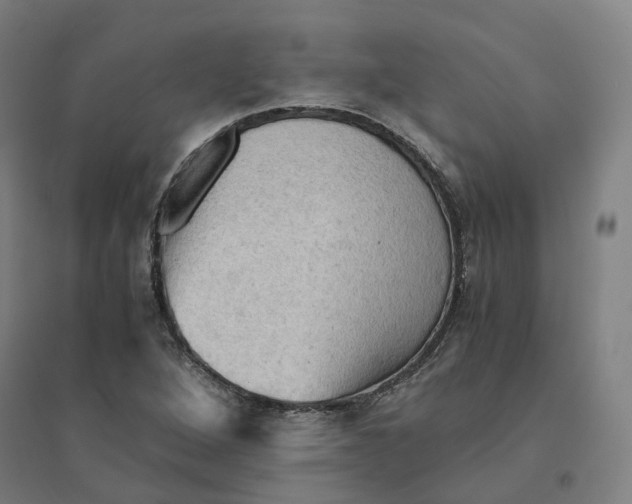 X0000094451264200712061153