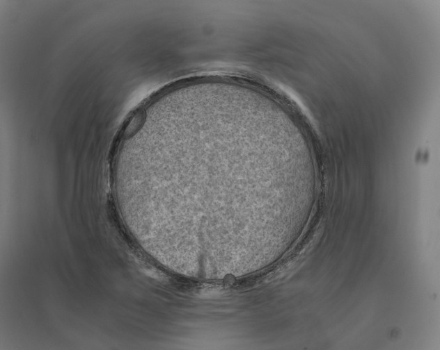 X0000094451267200712061153