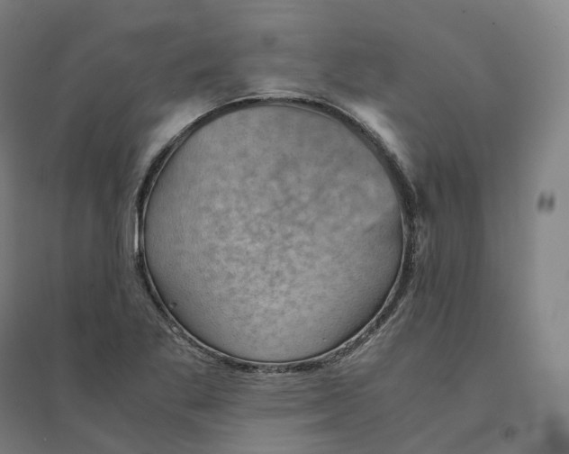 X0000094451269200712061153