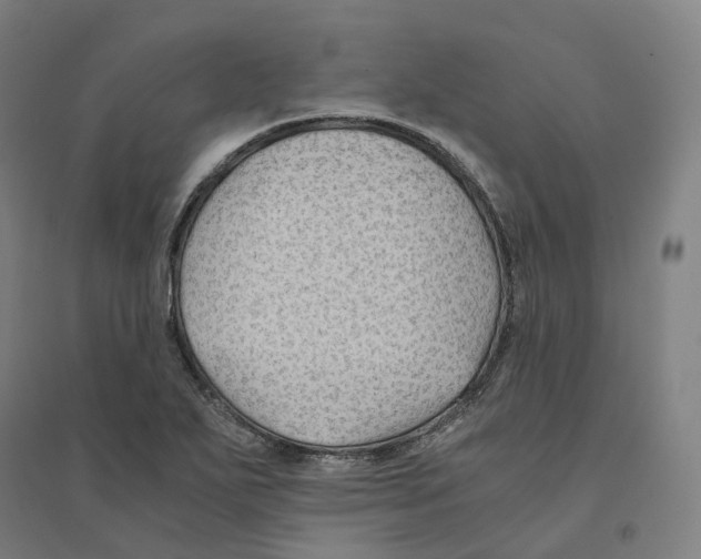 X0000094451271200712061153