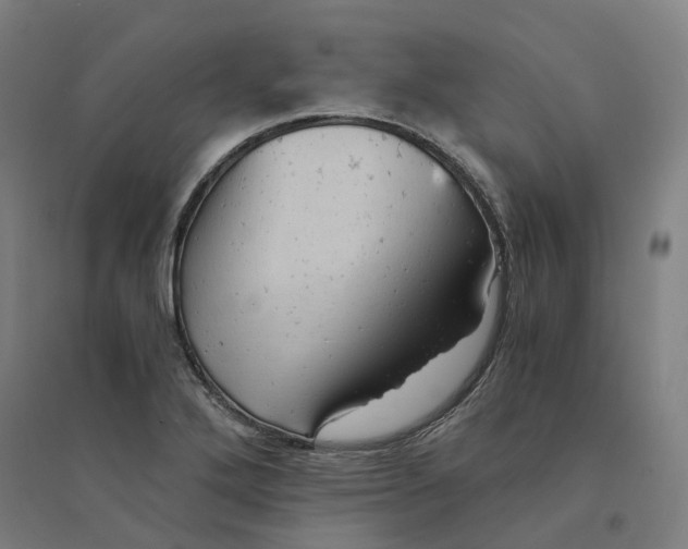 X0000094451272200712061153