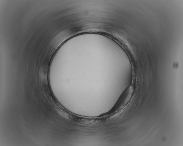 X0000094451273200712061153