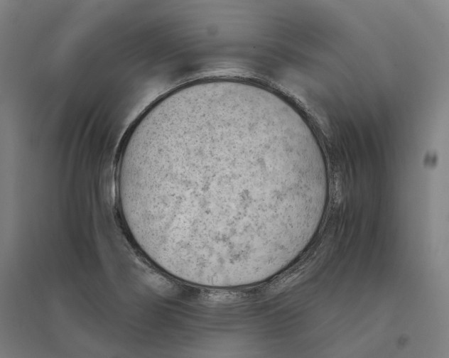 X0000094451274200712061153