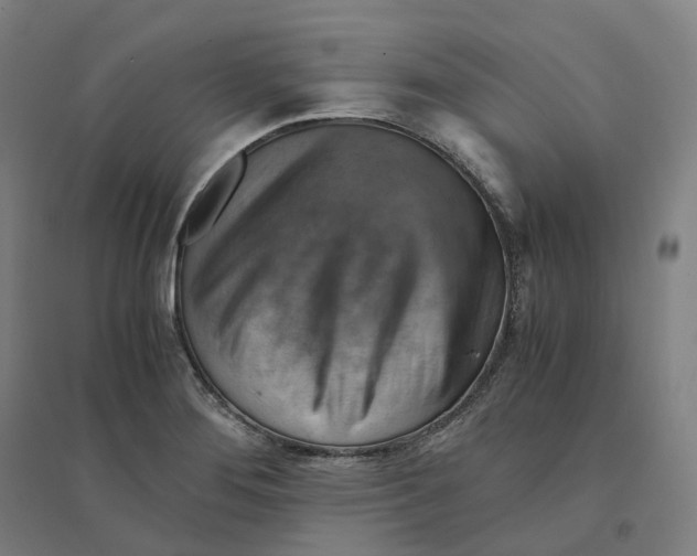 X0000094451276200712061152