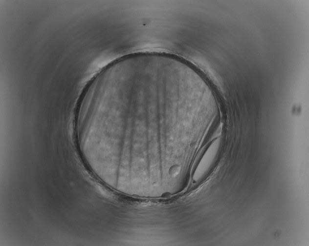 X0000094451277200712061152