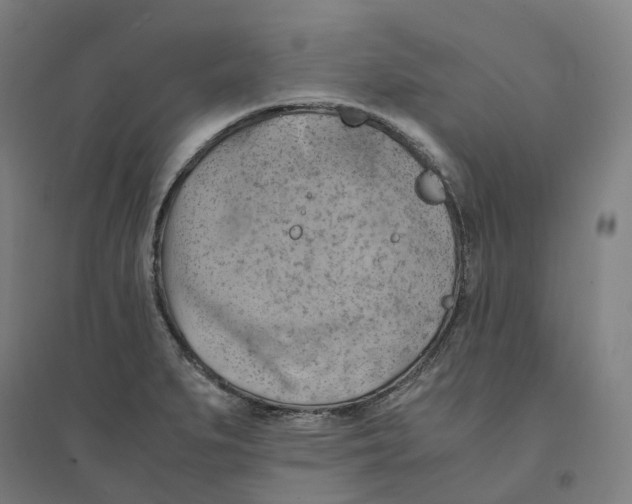 X0000094451279200712061152