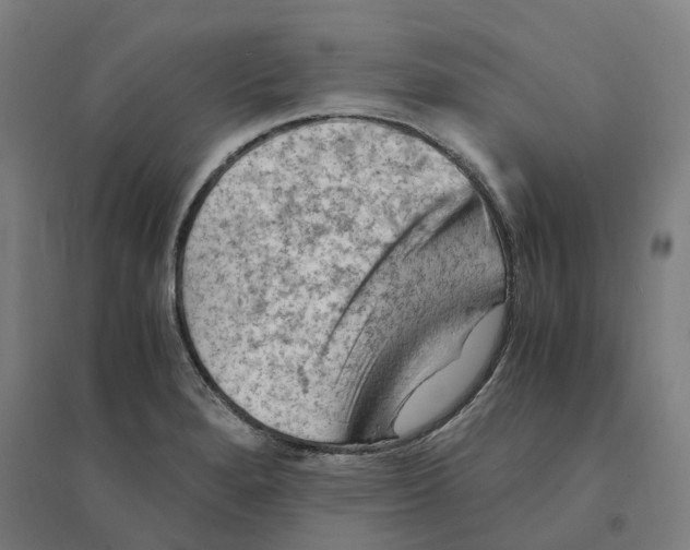 X0000094451280200712061152