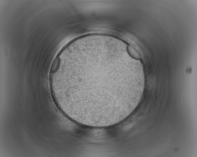 X0000094451283200712061152