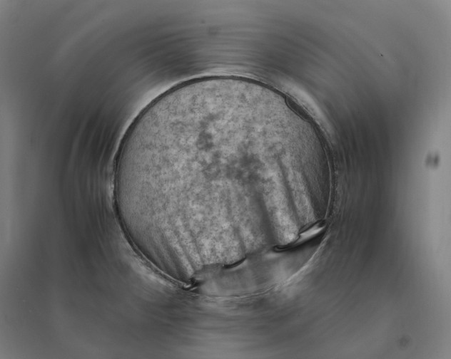 X0000094451284200712061152