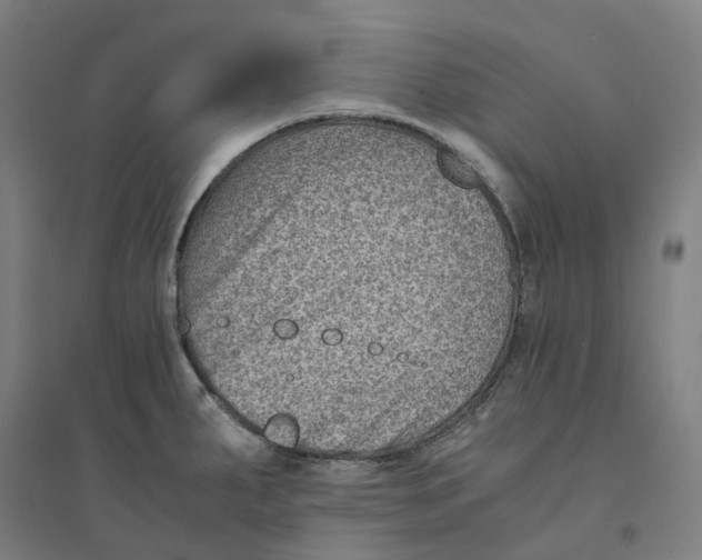 X0000094451287200712061152