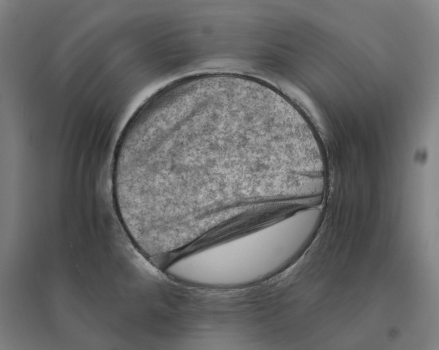 X0000094451288200712061152