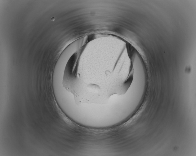 X0000094451289200712061152