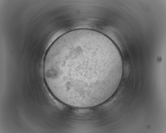 X0000094451290200712061152