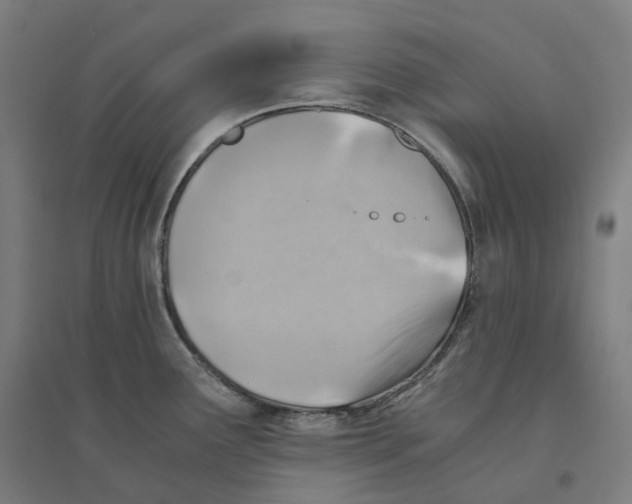 X0000094451291200712061152