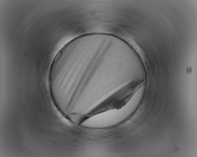 X0000094451293200712061152