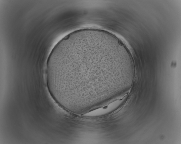 X0000094451295200712061152