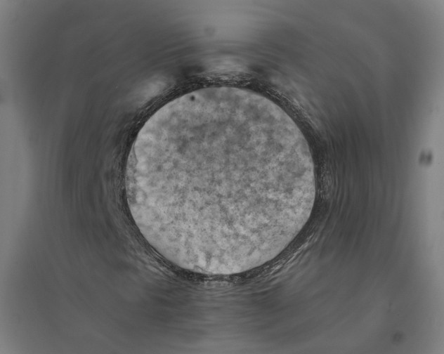 X0000094451297200712061152