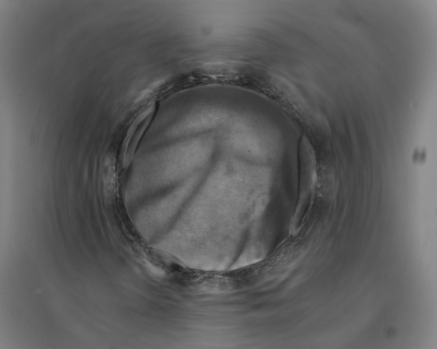 X0000094451298200712061152