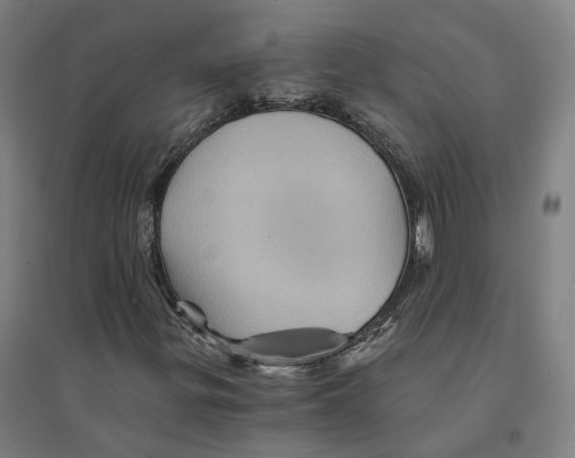 X0000094451299200712061152