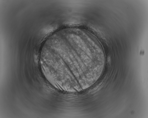 X0000094451300200712061152