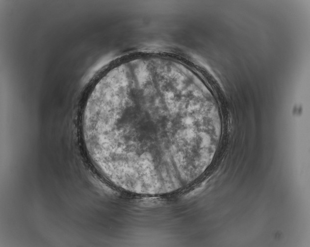 X0000094451304200712061152