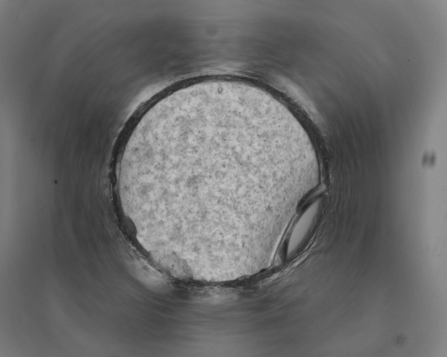 X0000094451308200712061152