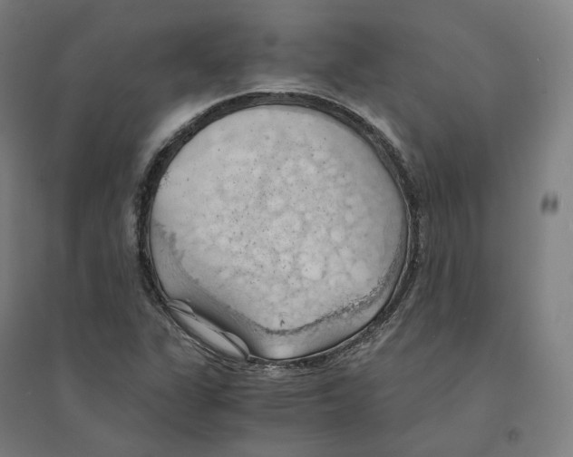 X0000094451311200712061152