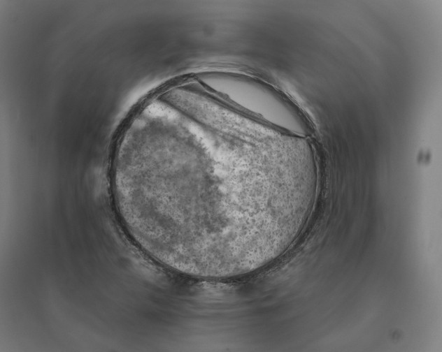 X0000094451312200712061152