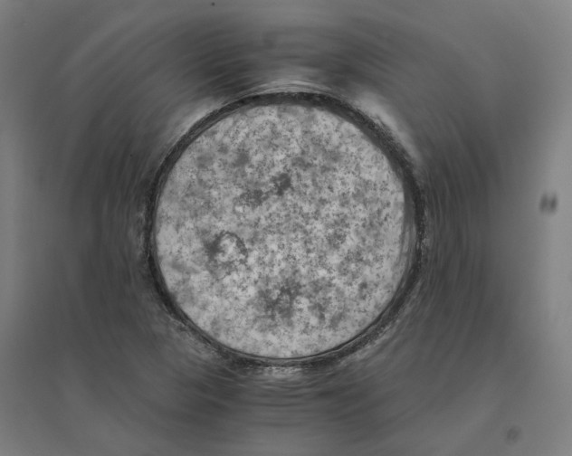 X0000094451313200712061152