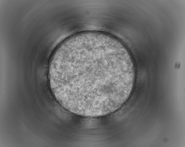 X0000094451314200712061152