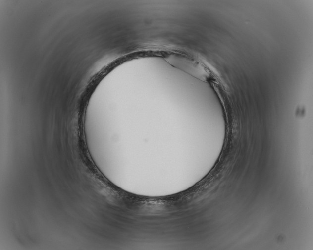 X0000094451315200712061152