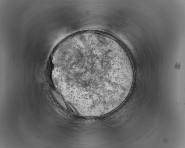 X0000094451316200712061152