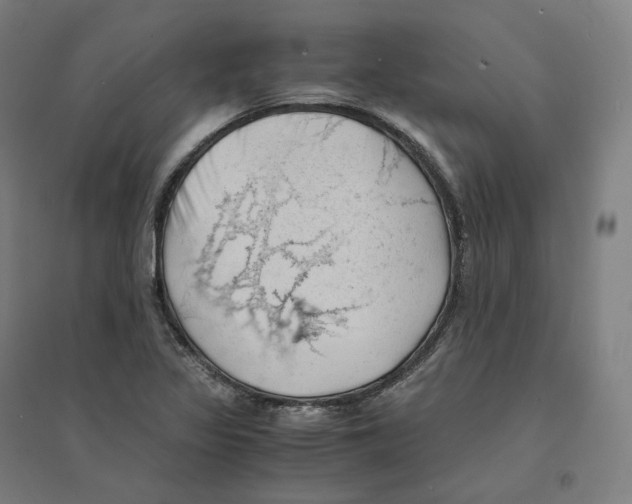 X0000094451317200712061152