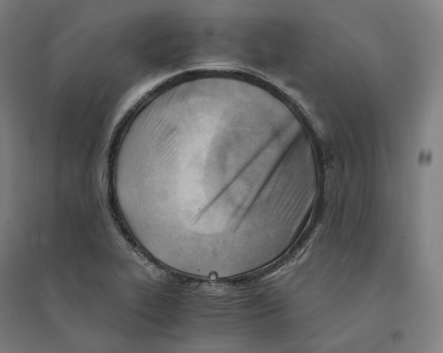 X0000094451319200712061152