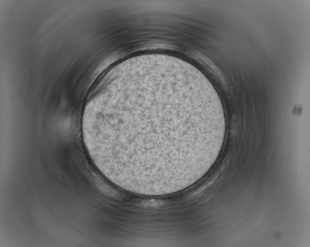 X0000094451321200712061152