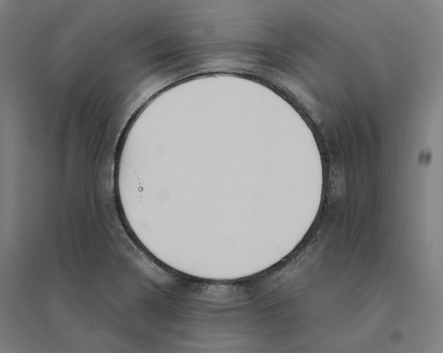 X0000094451322200712061152