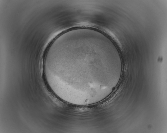 X0000094451323200712061152