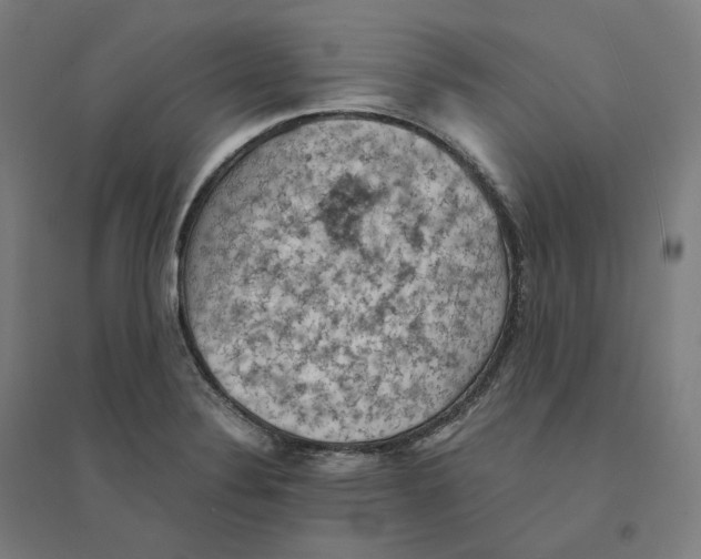 X0000094451324200712061152