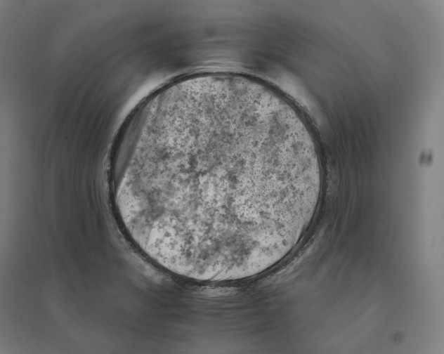 X0000094451325200712061152