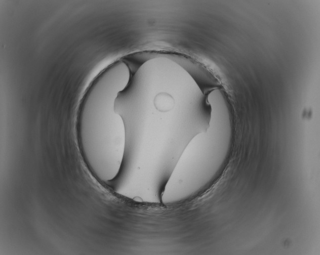 X0000094451326200712061152