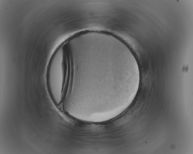 X0000094451327200712061152