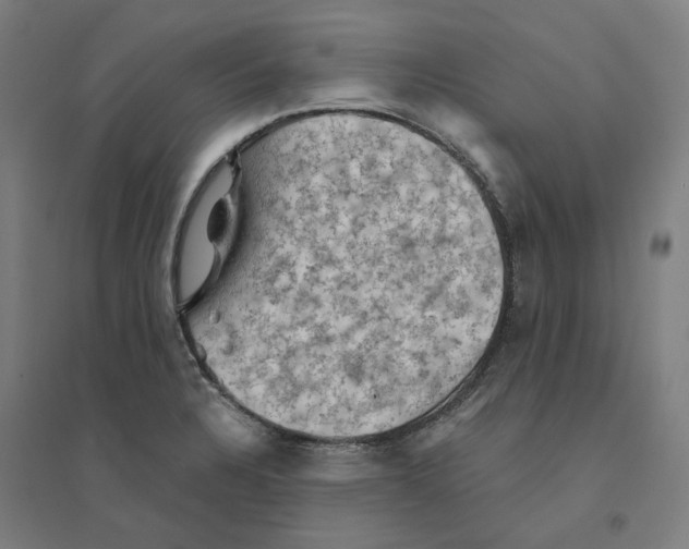 X0000094451328200712061152