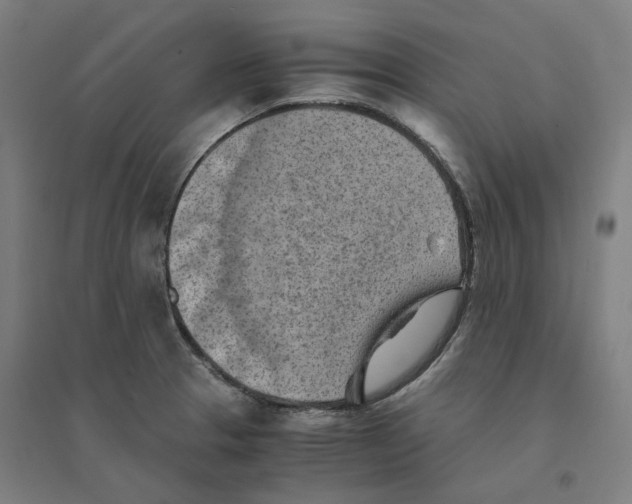 X0000094451329200712061152