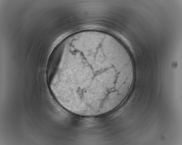 X0000094451330200712061152